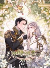 정략결혼의 정의