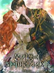 물거품이 되어 버리기 전에 cover