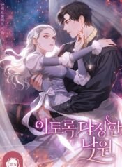 이토록 다정한 낙원 cover