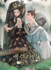 백련가약(白蓮佳約) cover