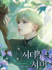 시더우드 서머 cover