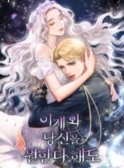 eiidyn cover